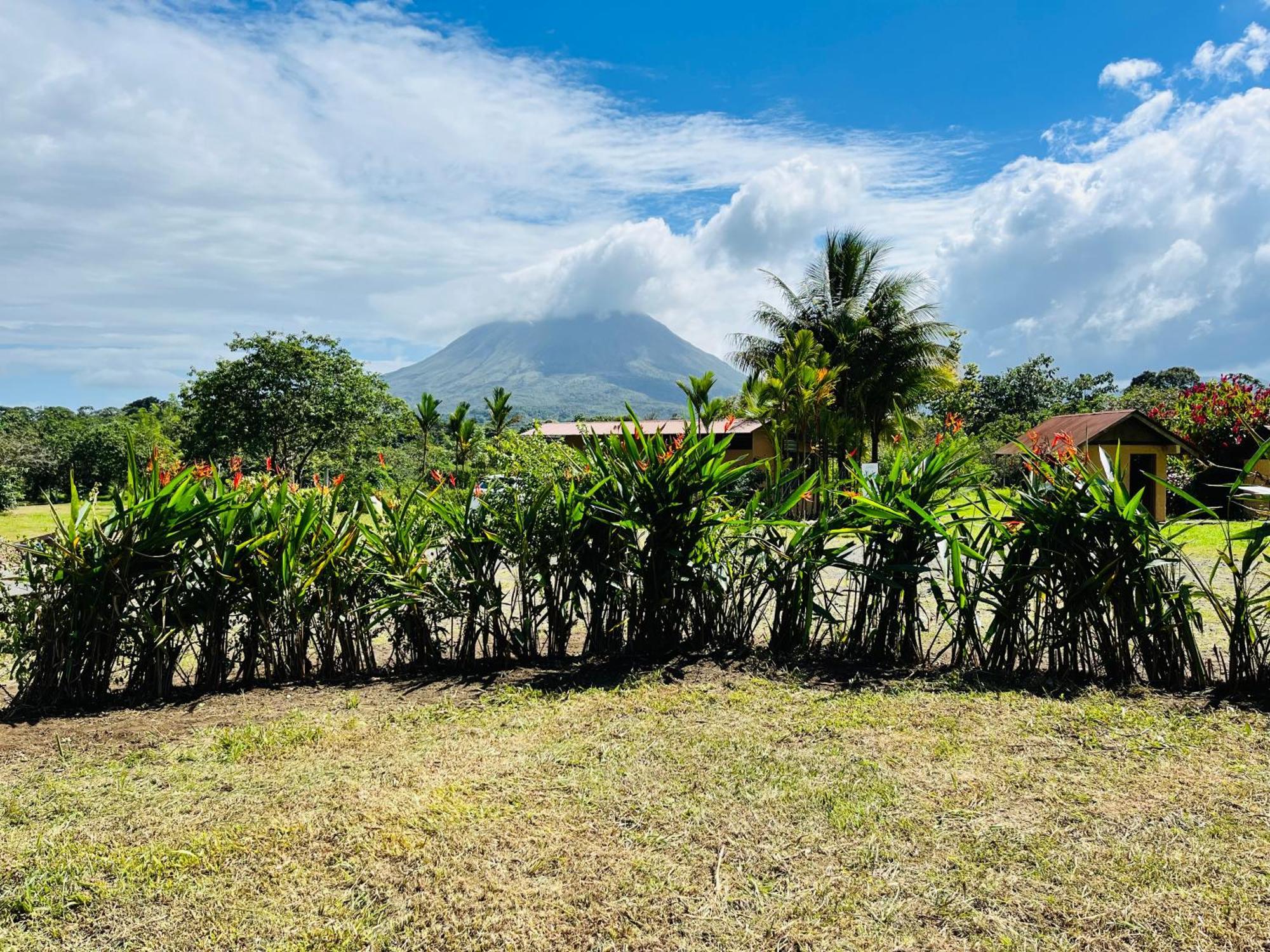 Wellness Park Cr Vila La Fortuna Exterior foto