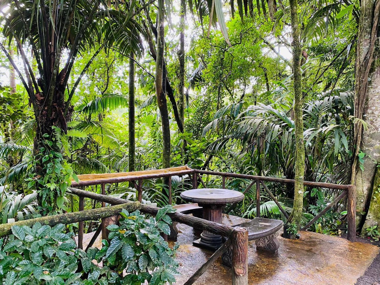 Wellness Park Cr Vila La Fortuna Exterior foto